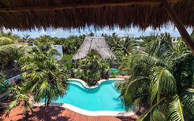 La Palma Holbox